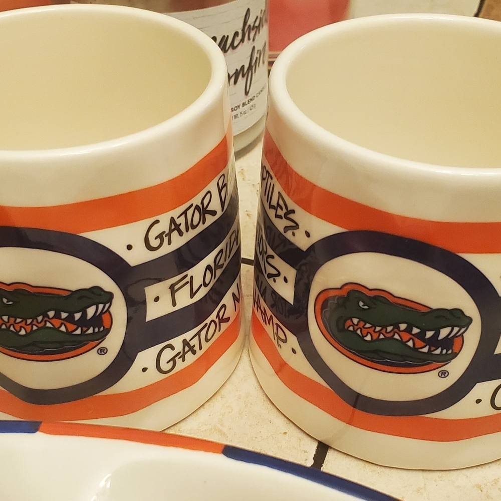 Florida Gators Football Magnolia Lane mugs